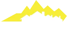 Dynamic Remodel and Repair logo
